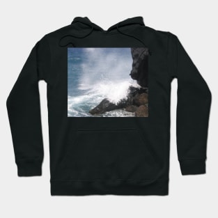 Escape from the sea Hoodie